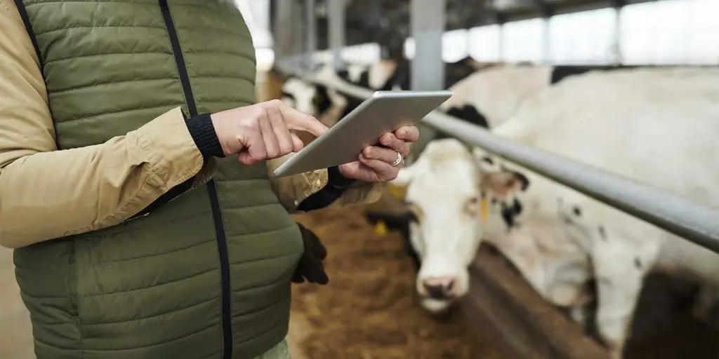 Нацстатком проверяет ход сельхозпереписи в регионах