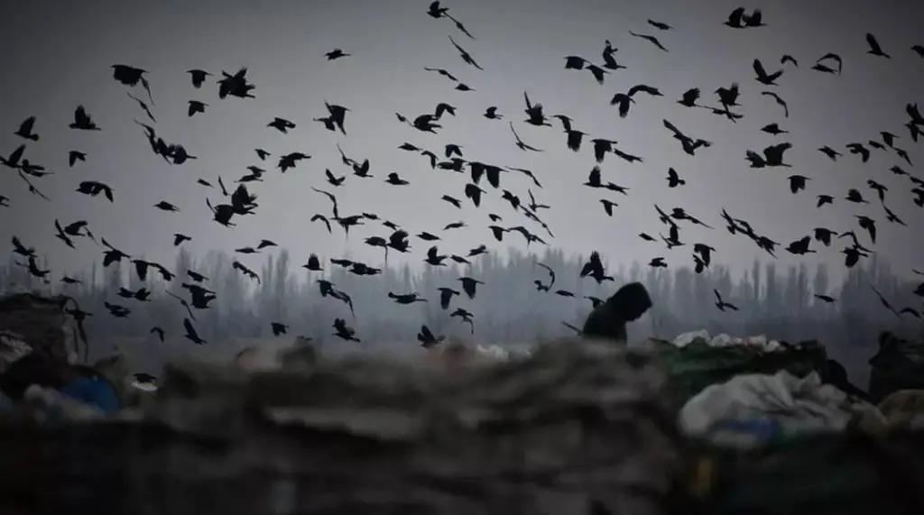 Природные катаклизмы: Как изменения климата влияют на Кыргызстан