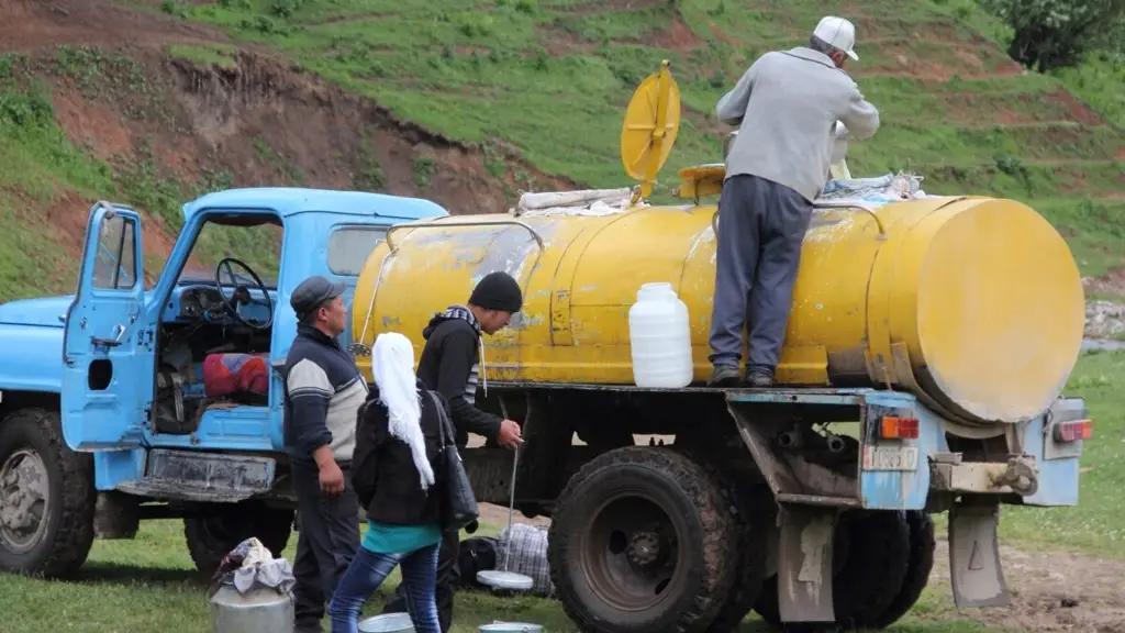 Ценовой сговор при скупке молока: депутат призывает власти вмешаться