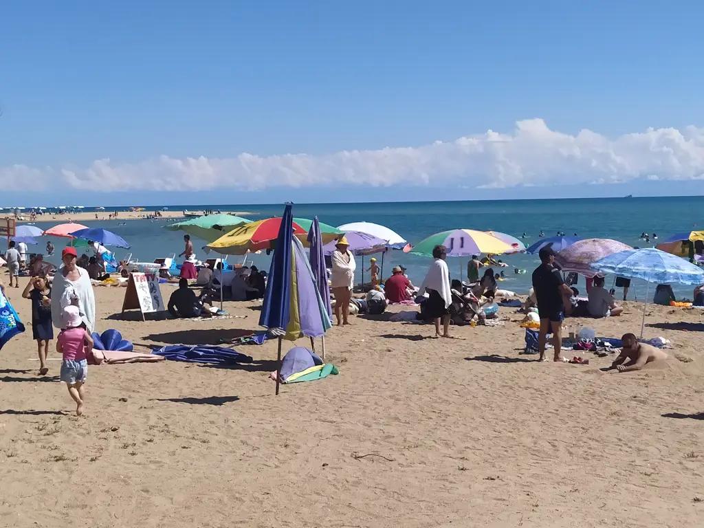 Ставка на сельское хозяйство, или Как на Иссык-Куле проходит турсезон 2020