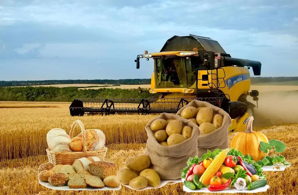 Продовольственной безопасности Кыргызстана ничто не грозит – Минсельхоз