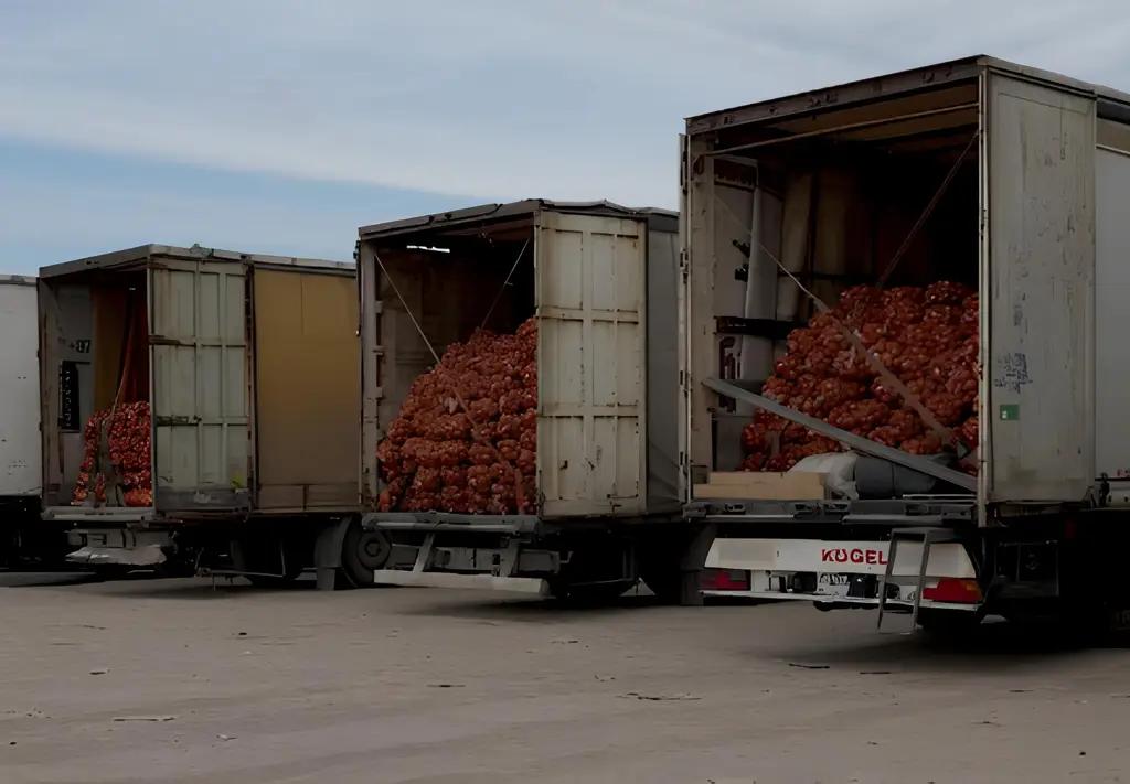 Горе луковое. Предприниматели не знают, куда деть лук