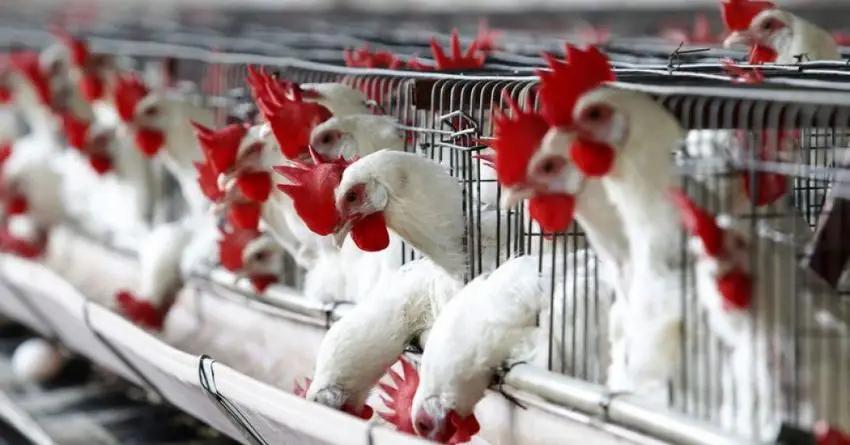 Впервые возникли проблемы по кредиту РКФР: залог добровольно передан фонду и выставлен на торги