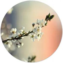 Банковская весна: дайджест событий на финансовом рынке Кыргызстана