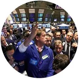 Что такое биржевая торговля и при чем здесь Тюльпановая революция