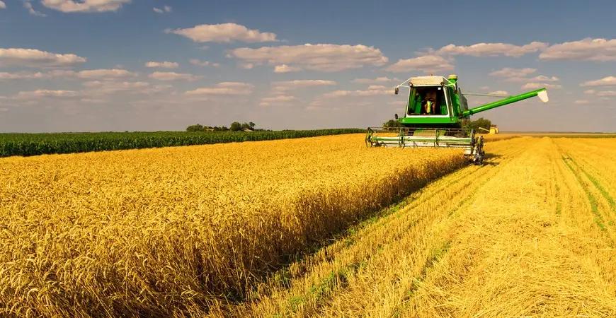 Узбекские предприниматели положительно оценили бизнес-климат в сельском хозяйстве