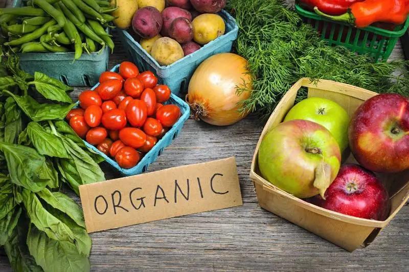Organic food: How is climate change linked to what we eat?
