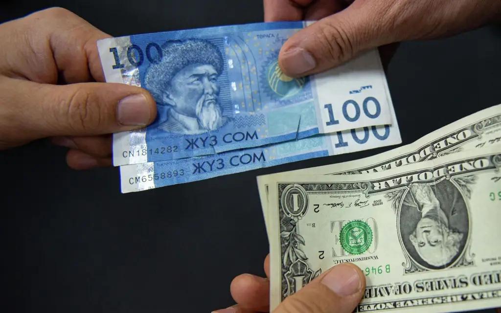 Как Кыргызстан сумел сохранить стабильность сома в 2024 году
