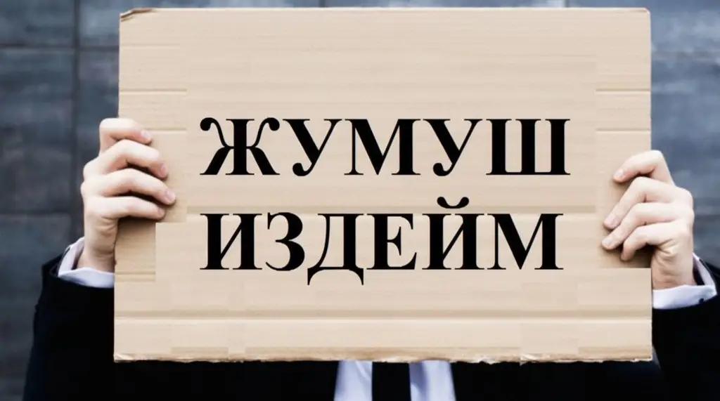 Кыргызстандагы жумушсуздук: себептер, кесепеттер жана чечүү жолдору