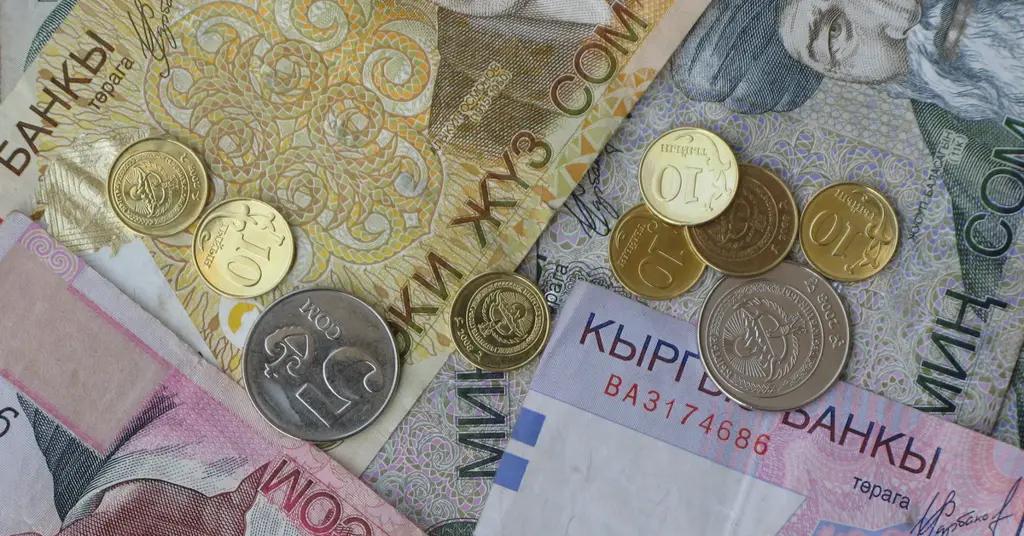 В январе зарплата кыргызстанцев выросла на 751 сом