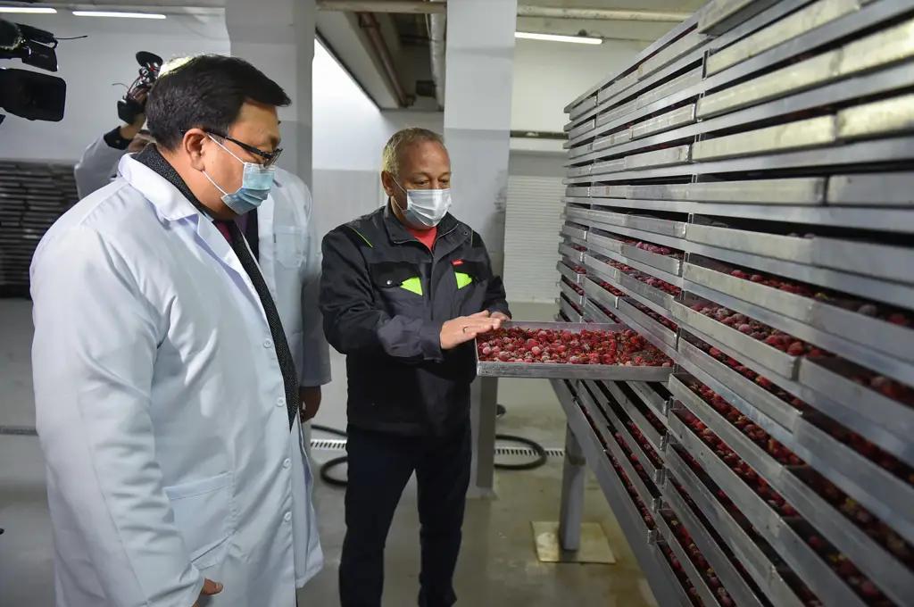 Азиз Аалиев: Мы нацелены на поддержку перерабатывающих предприятий