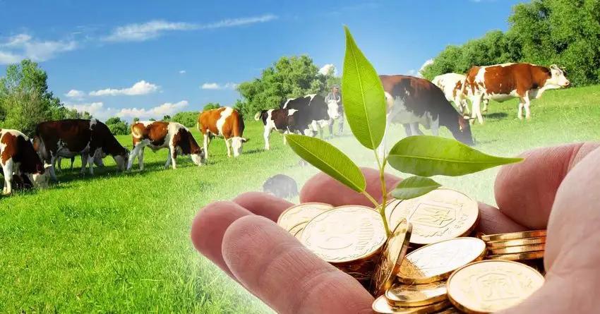 «ФСХ-11» выделит кредитов на 3 млрд сомов на сельское хозяйство