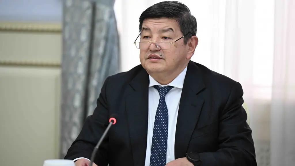 Глава кабмина встретился с делегацией инвесторов из Германии