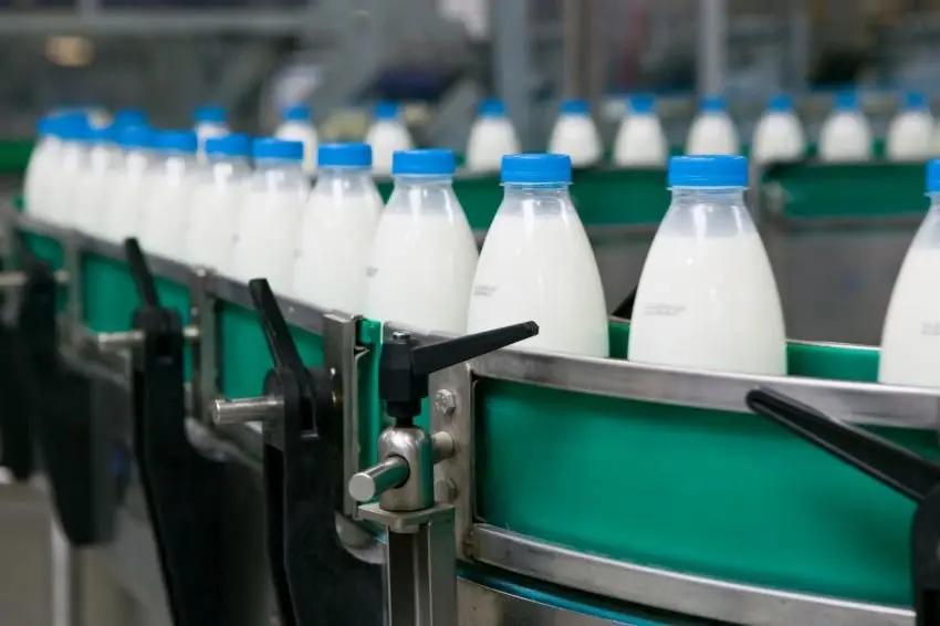 В Чуйской области появится новый завод по переработке молока