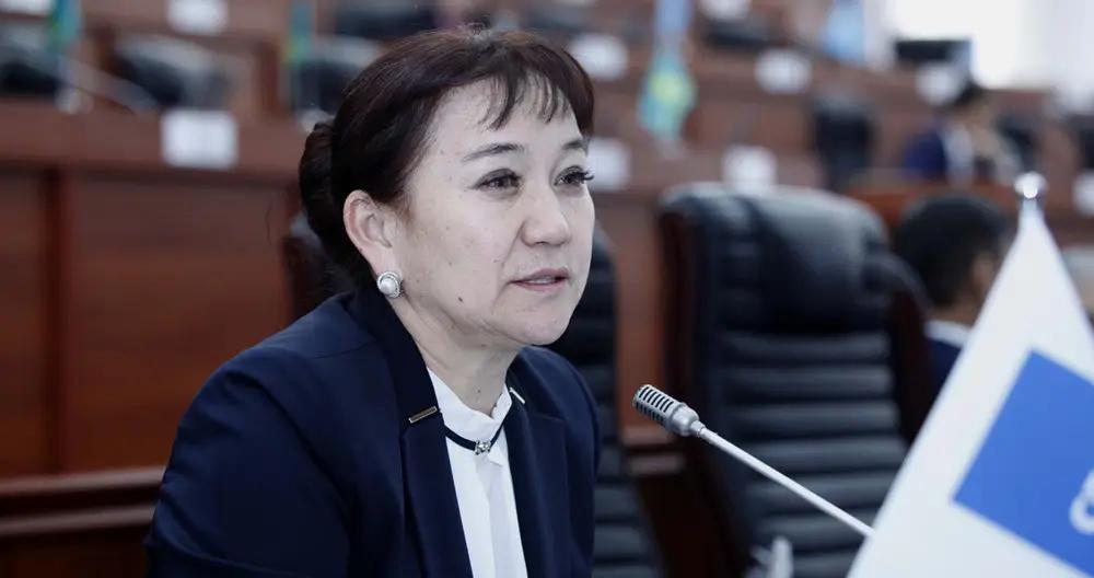 Депутат назвала ряд налоговых преференций неэффективными