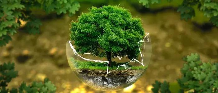 Создание экостандартов в КР стало необходимостью