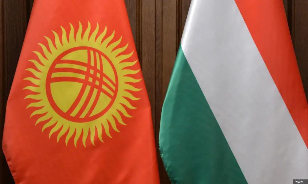 Предприниматели жалуются на Венгерско-Кыргызский фонд развития
