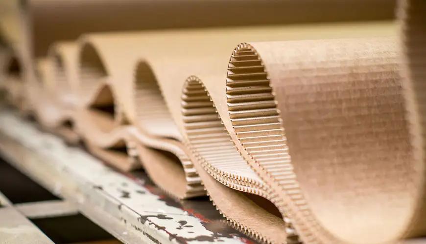 Введен временный запрет на вывоз бумаги и картона за пределы ЕАЭС