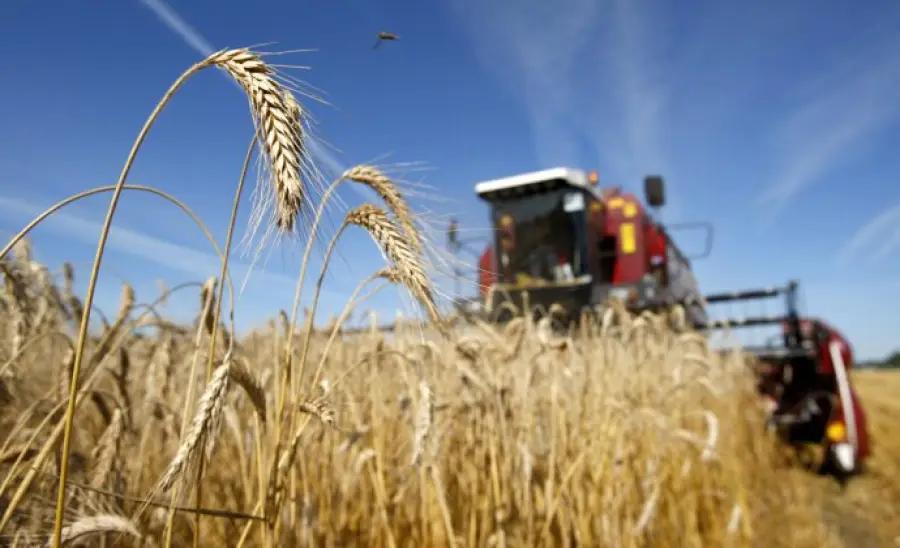 В Казахстане слабеет кредитная поддержка аграрного сектора