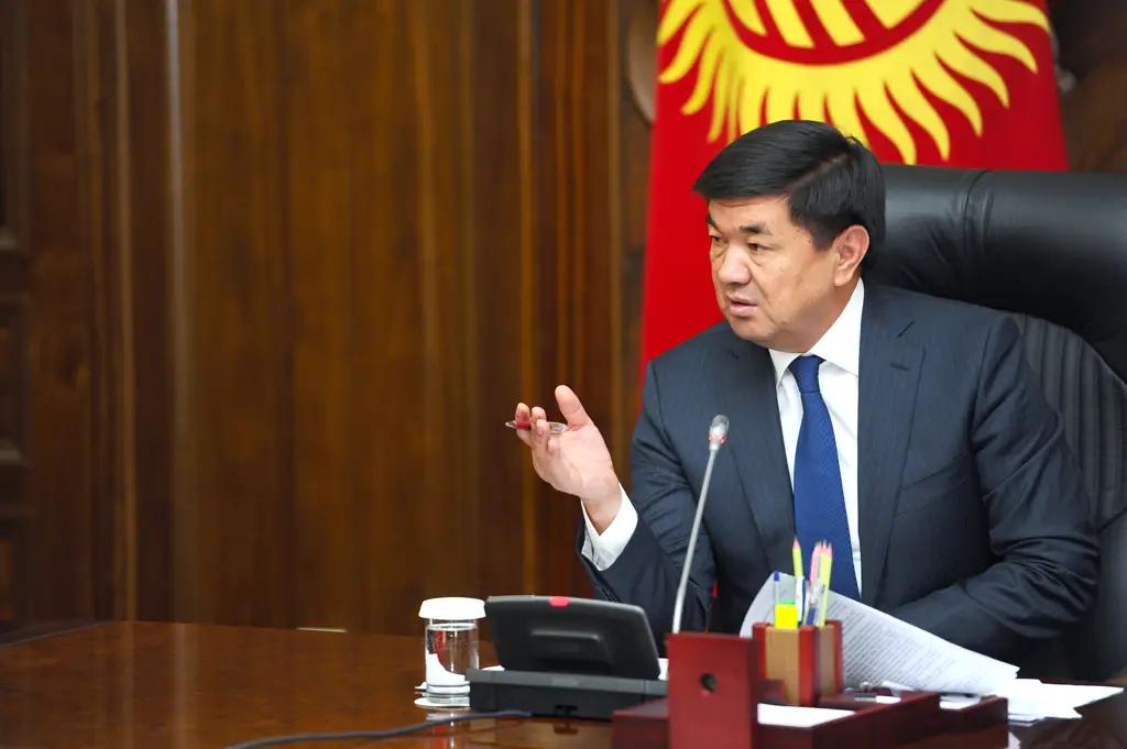 Кыргызстан располагает достаточным потенциалом для экспорта в страны ЕС - Абылгазиев