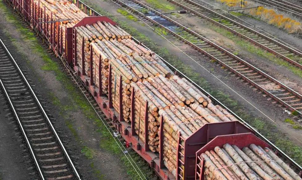 В Кыргызстане хотят продлить запрет на экспорт древесины