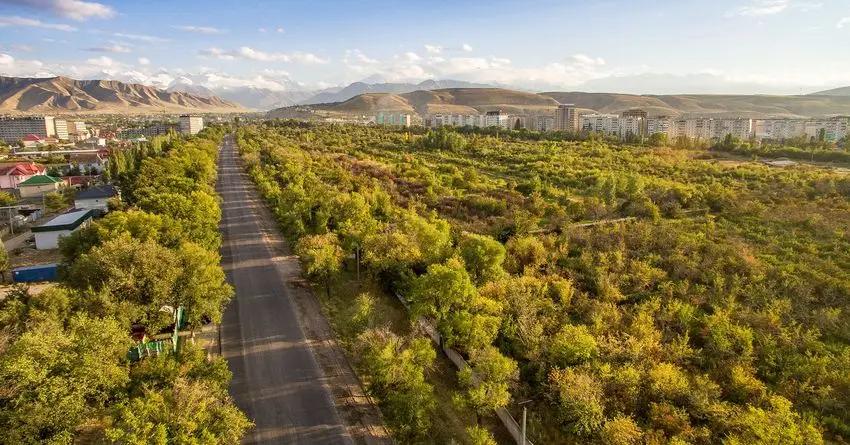 Деньги на восстановление Ботанического сада попросят у доноров