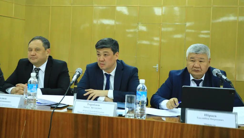 Кабмин поручил ускорить вопрос реализации проектов по ВИЭ