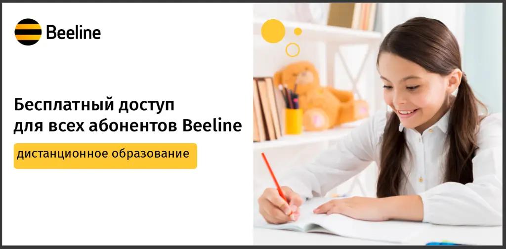Дистанционное обучение с Beeline: обнуление трафика на всех тарифах