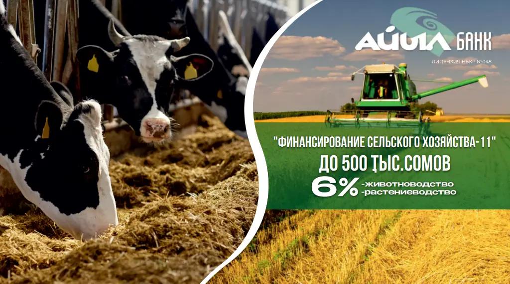 ОАО «Айыл Банк» начало реализацию льготных кредитов под 6% годовых
