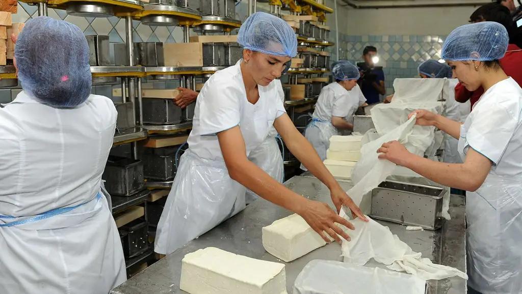 В Кыргызстане вырос спрос на гарантии в сфере заготовки и переработки