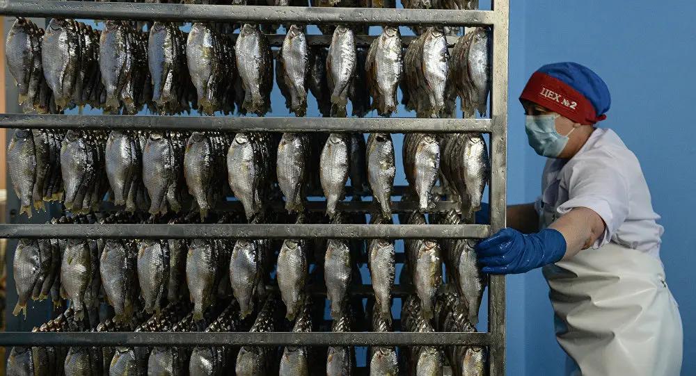 Турецкие компании заинтересованы в инвестициях в производство рыбы в КР