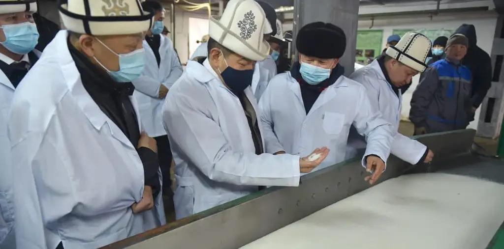 В Таласской области вновь заработал сахарный завод