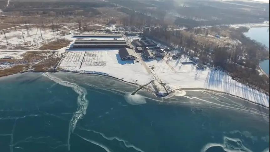 В КР незаконно вырубили деревья. Ущерб составил 7.7 млн сомов