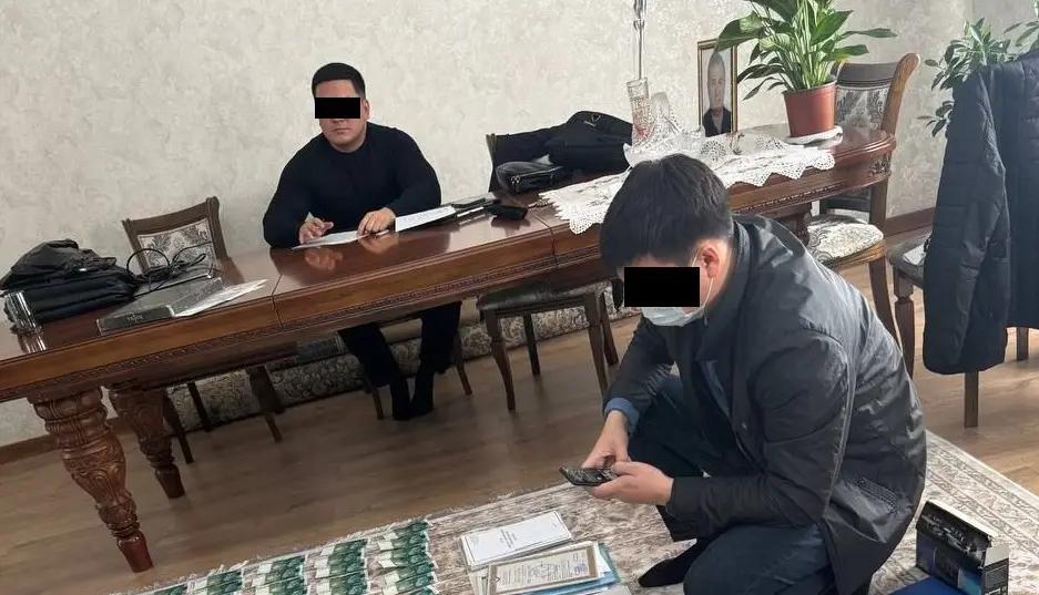 Пресечена коррупционная схема при регистрации земельных участков