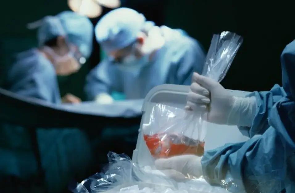 В Кыргызстане намерены возобновить операции по пересадке органов