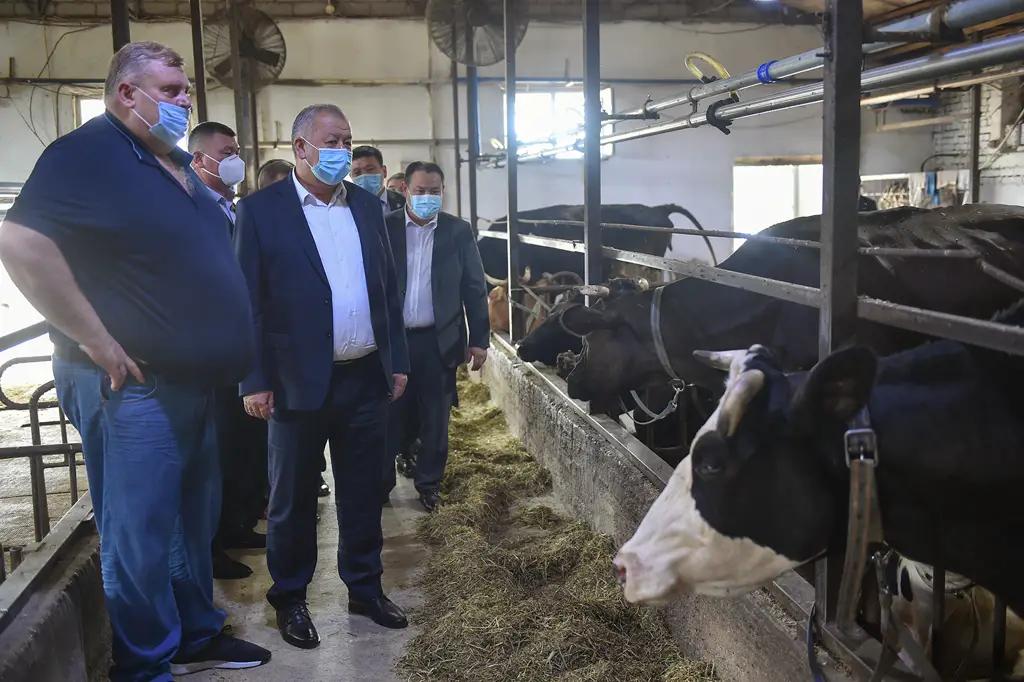 Боронов: Правительство продолжит оказывать поддержку фермерам