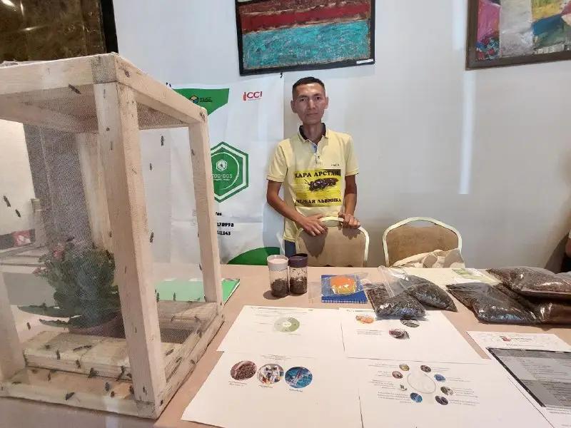 Фермеры Кыргызстана тестируют утилизацию мусора полезными мухами