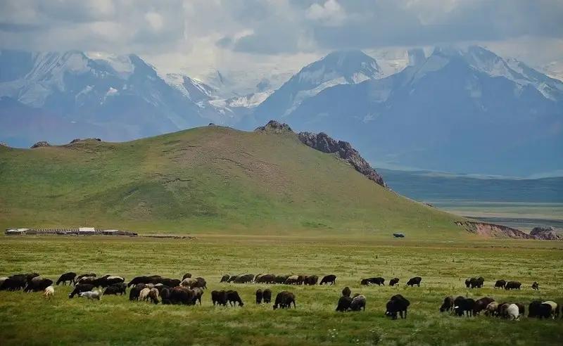 Пастбища КР откроют для туризма и рыбохозяйственной деятельности
