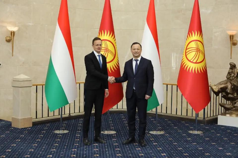 В КР создан Венгерско-Кыргызский фонд развития