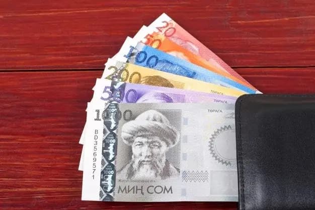 Валютчика из РФ оштрафовали в Оше