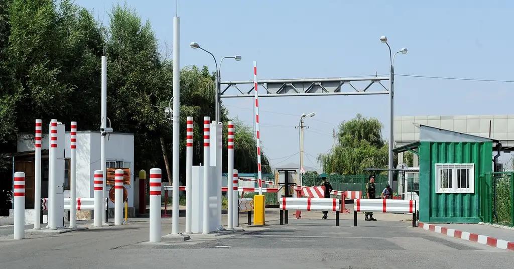 ЕЭК рекомендовала Казахстану снять фитосанитарный контроль на границе с КР