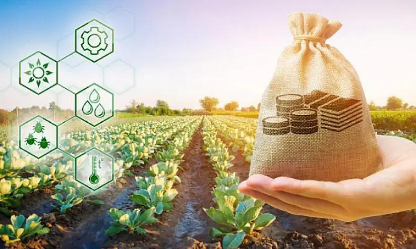 Ставку по ФСХ могут снизить до 10%