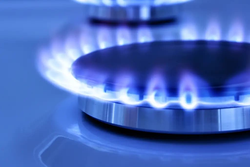 В Кыргызстане за год тарифы на природный газ выросли на 8.67%