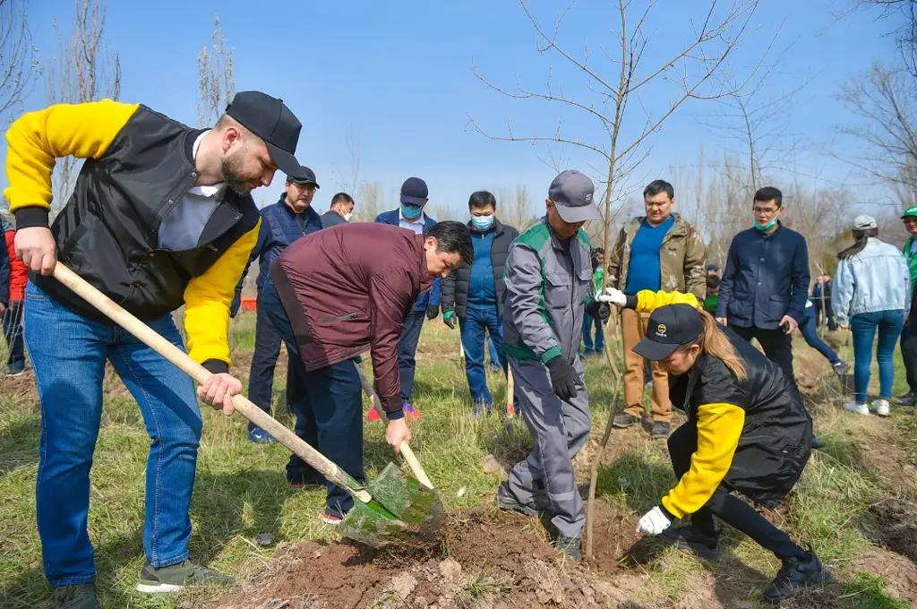 Beeline совместно с аппаратом правительства КР посадили деревья в парке Ататюрка