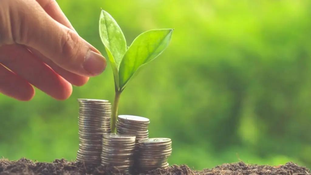 Более 1.5 тысячи фермерам выдали льготные кредиты