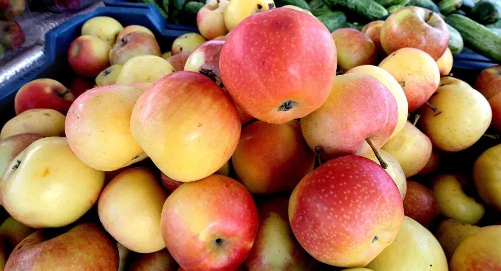 Иссык-Кульскую агропродукцию будут продвигать на внешних рынках