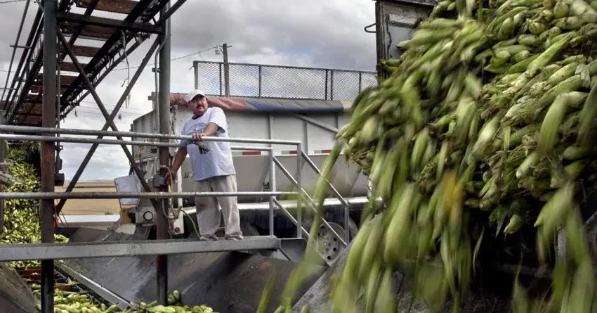 Перерабатывающие предприятия КР остались без льготных кредитов