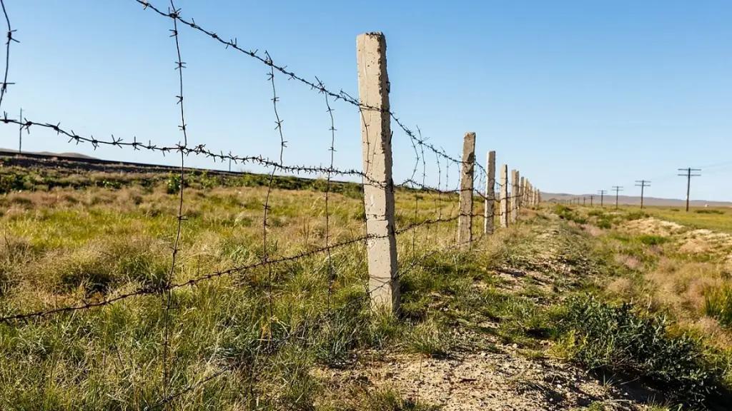 На границе пресекли контрабанду на 1.2 млн сомов