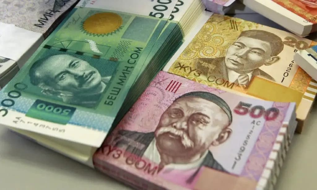 ГНС собрала 12 млрд сомов страховых взносов