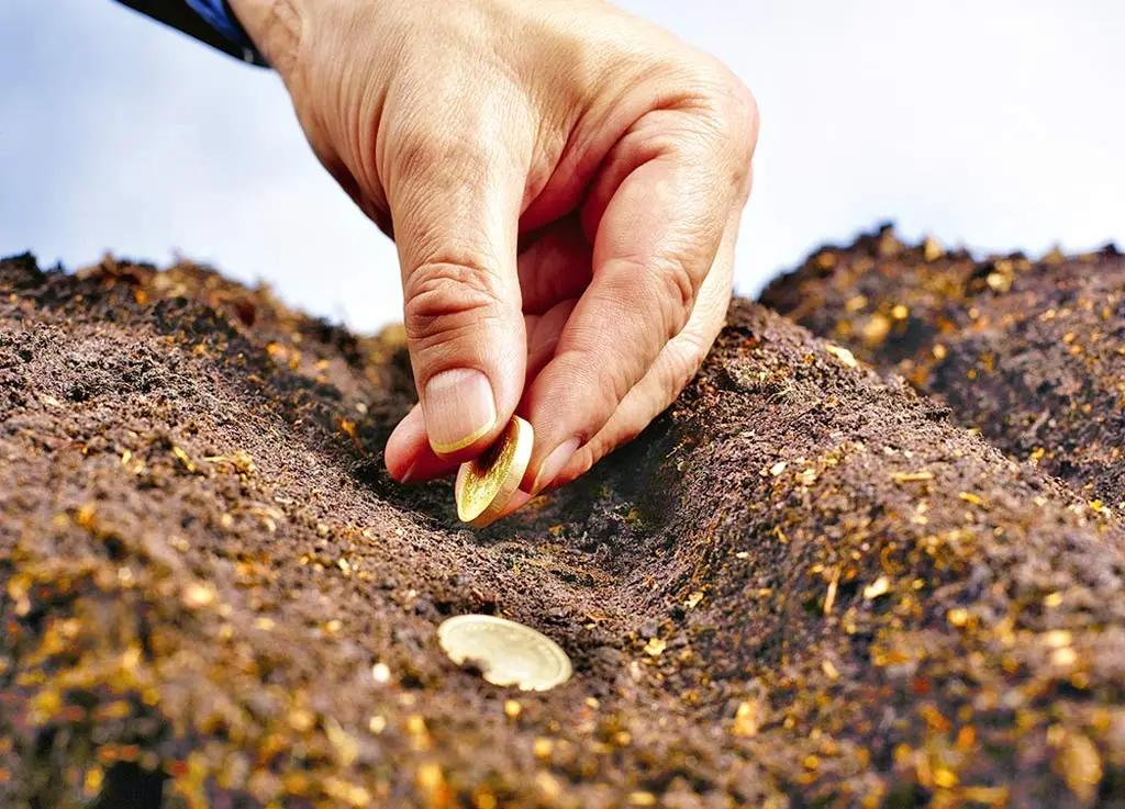 С февраля фермерам начнут выдавать льготные кредиты